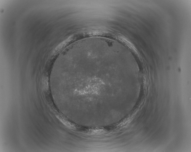 X0000078840401200611201318