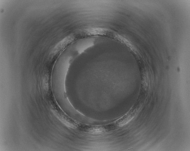 X0000078840402200611201318