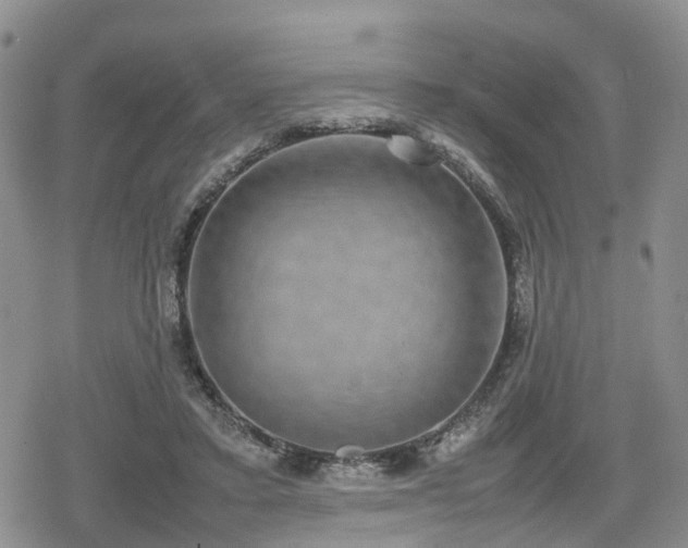 X0000078840403200611201318