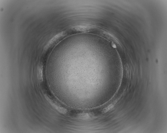 X0000078840404200611201318