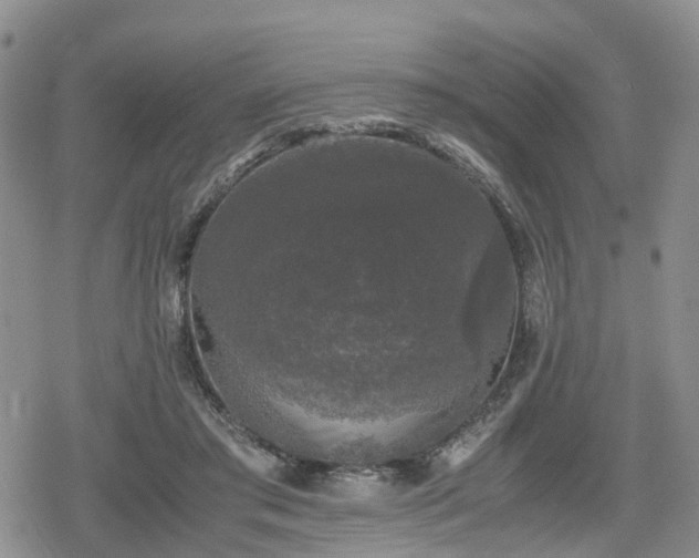 X0000078840405200611201318