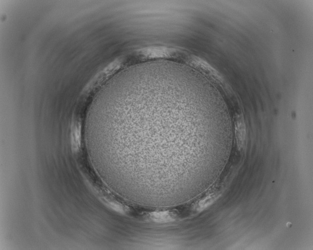 X0000078840406200611201318