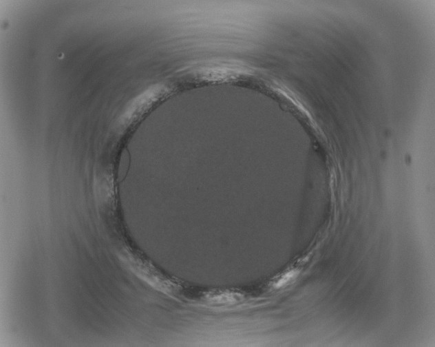 X0000078840407200611201318