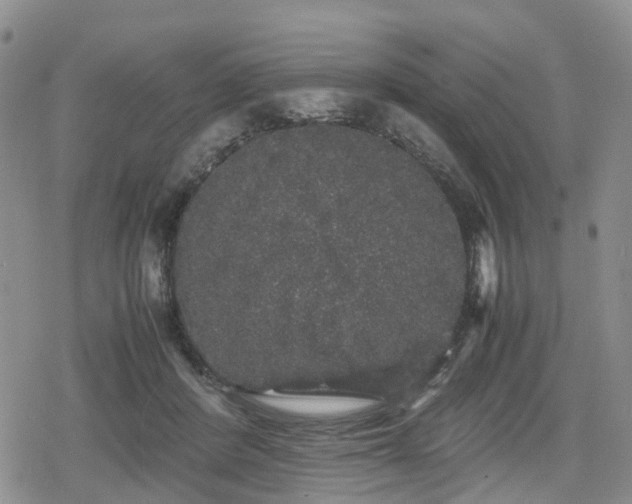 X0000078840408200611201318