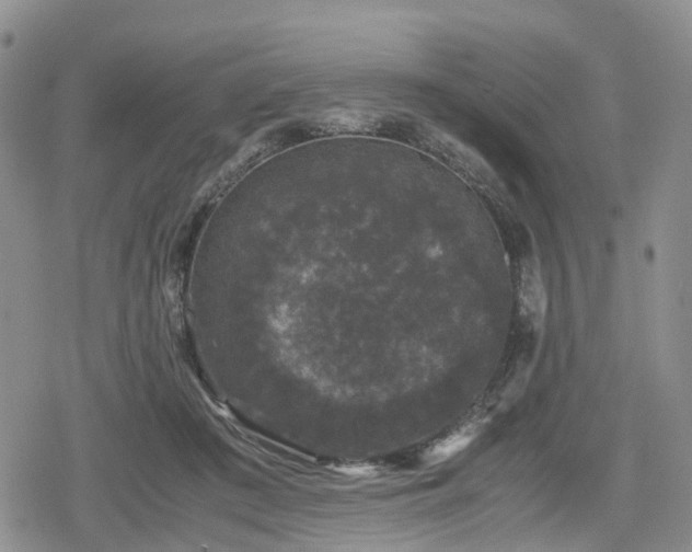 X0000078840409200611201318