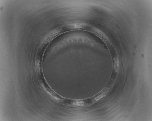 X0000078840410200611201318