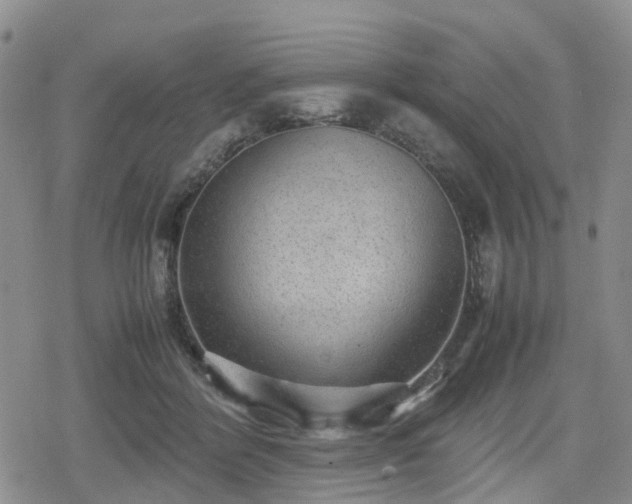 X0000078840412200611201318