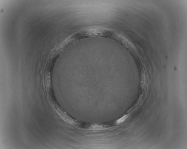 X0000078840413200611201318