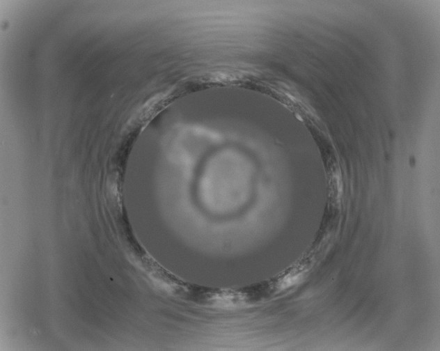 X0000078840415200611201318