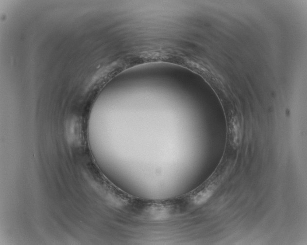 X0000078840416200611201318