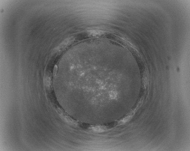 X0000078840417200611201318