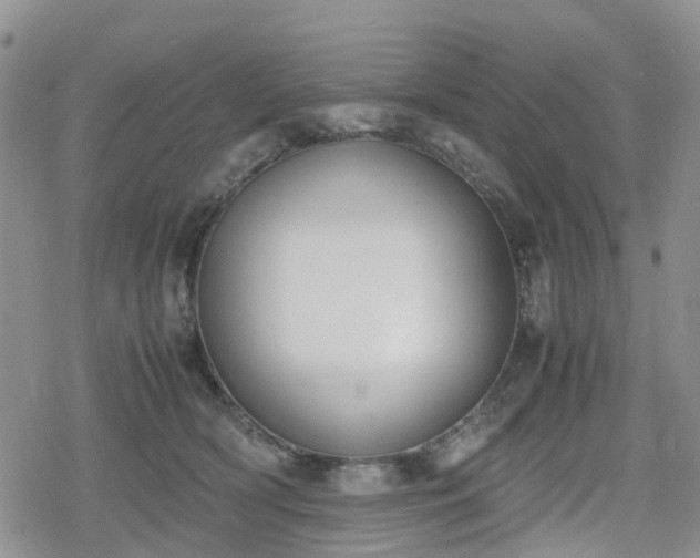 X0000078840418200611201318