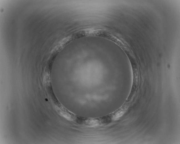 X0000078840419200611201318