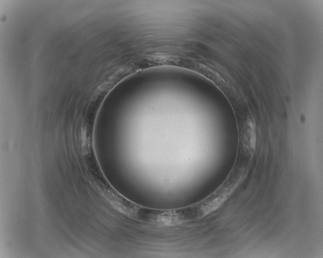 X0000078840420200611201318