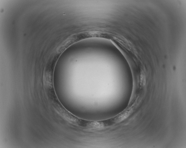 X0000078840421200611201318