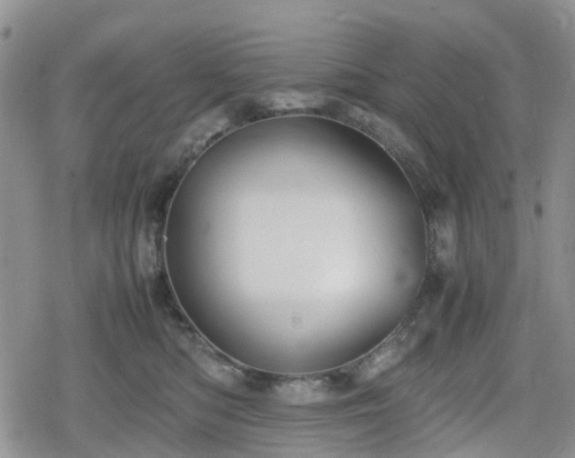 X0000078840422200611201318