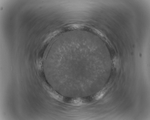 X0000078840423200611201318