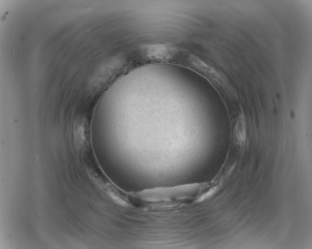 X0000078840424200611201318