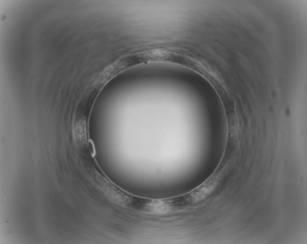 X0000078840425200611201318