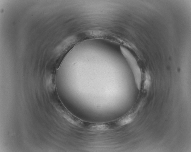 X0000078840428200611201318