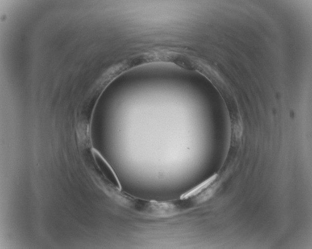 X0000078840429200611201318