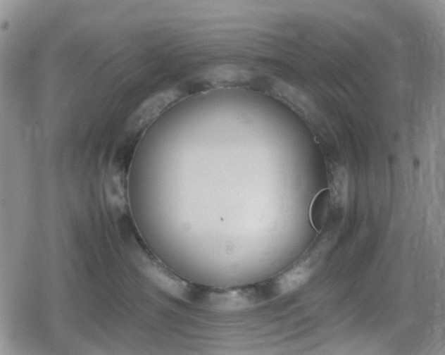 X0000078840430200611201318