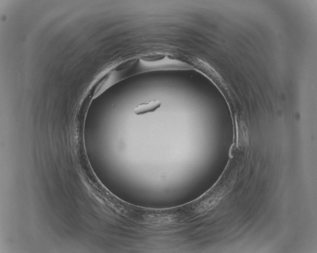 X0000078840435200611201317