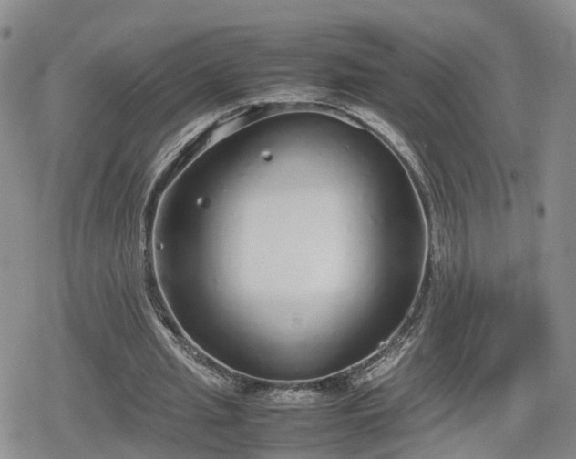 X0000078840437200611201317