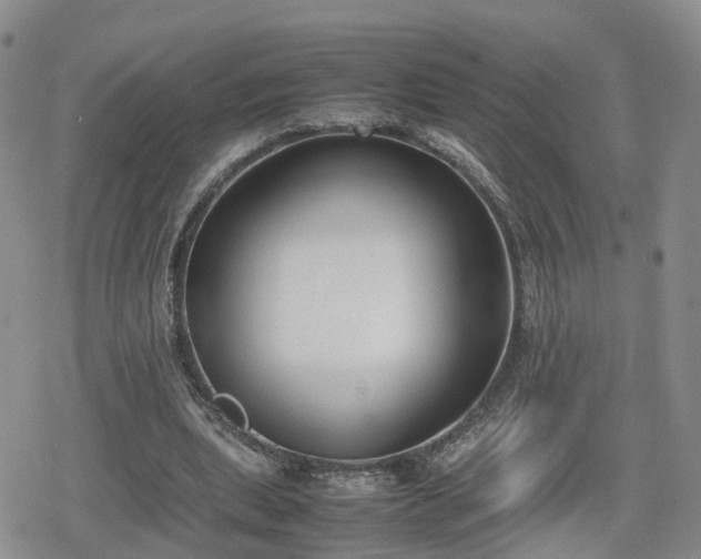 X0000078840439200611201317