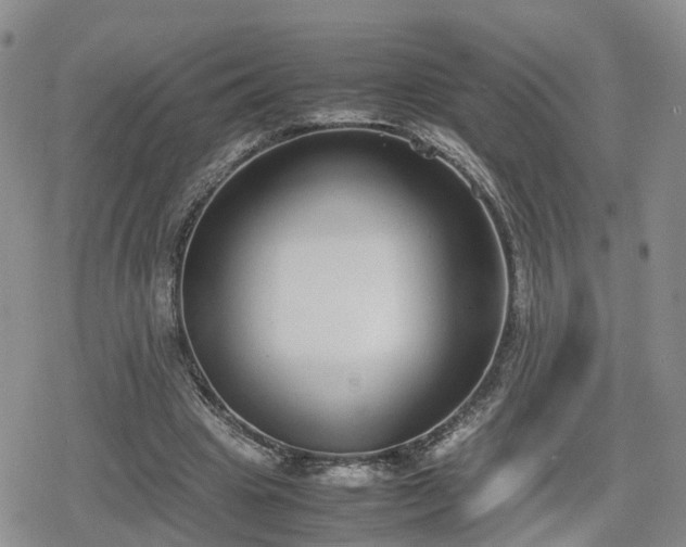 X0000078840441200611201317