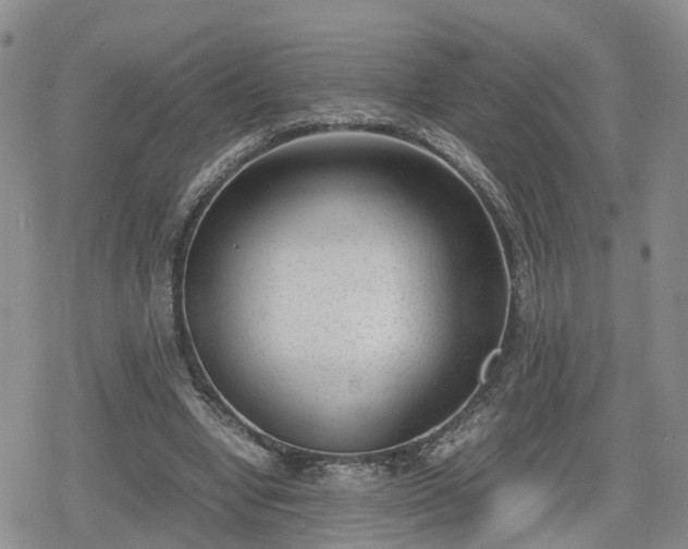 X0000078840442200611201317