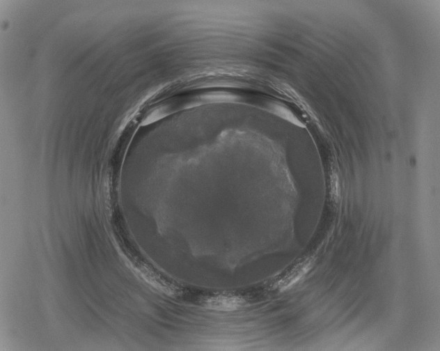 X0000078840444200611201317