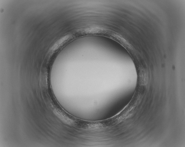 X0000078840446200611201317