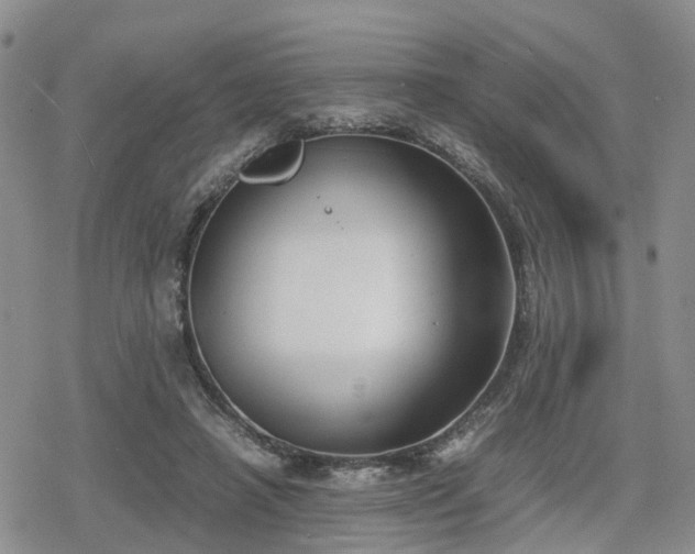 X0000078840450200611201317