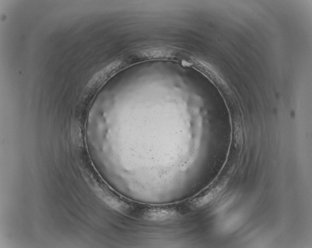 X0000078840453200611201317