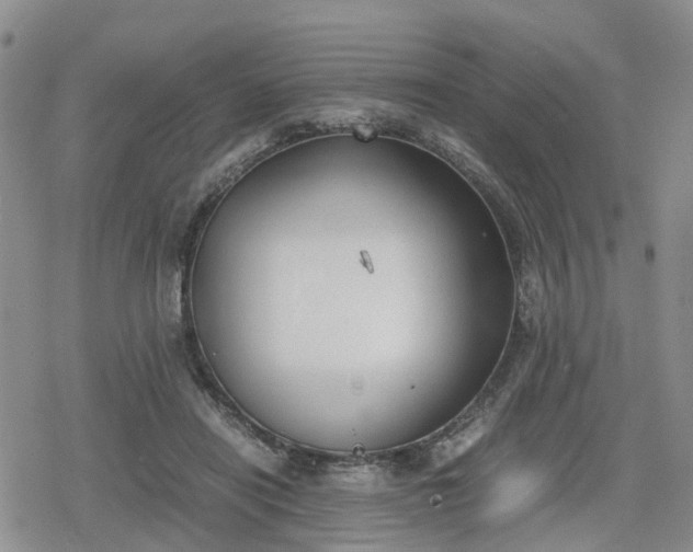 X0000078840454200611201317