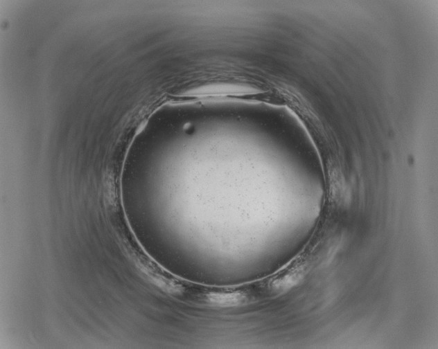 X0000078840457200611201317