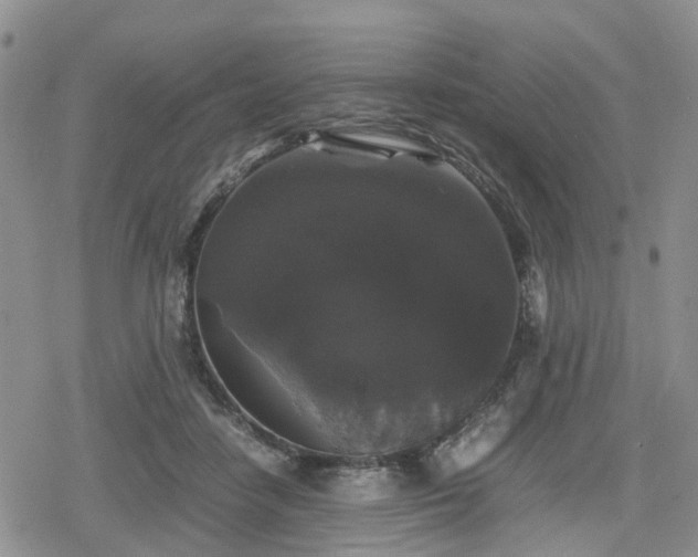 X0000078840458200611201317