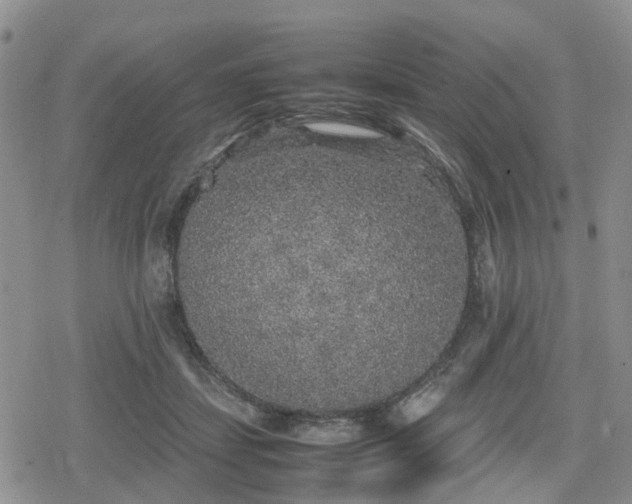 X0000078840459200611201317