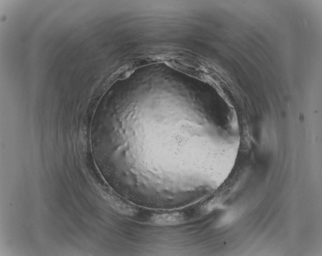 X0000078840461200611201317