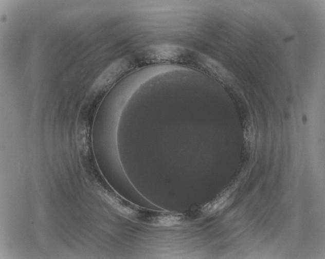 X0000078840462200611201318