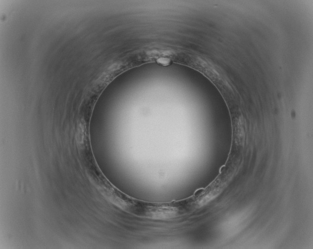 X0000078840463200611201318