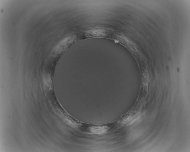 X0000078840465200611201318