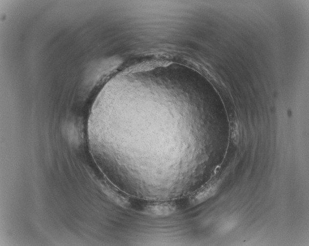 X0000078840466200611201318