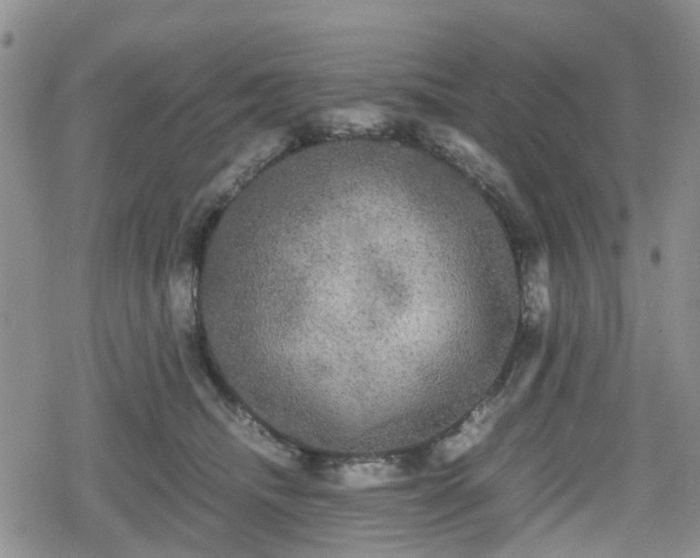 X0000078840468200611201318