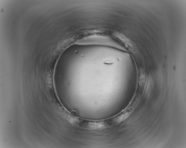 X0000078840469200611201318