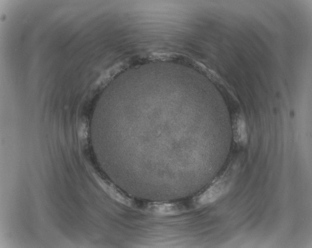 X0000078840472200611201318