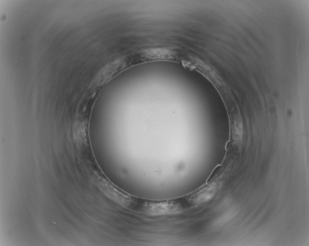 X0000078840473200611201318