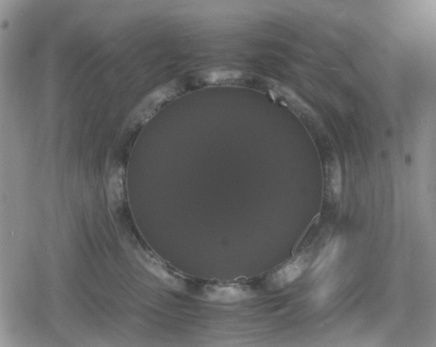 X0000078840475200611201318