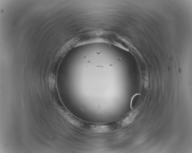 X0000078840476200611201318